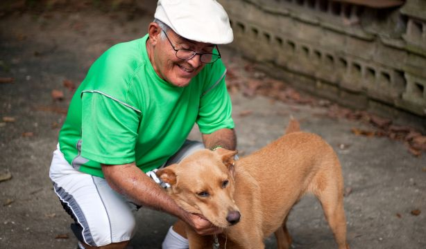 El 75% de las personas mayores que conviven con una mascota afirman que reduce su nivel de estrés