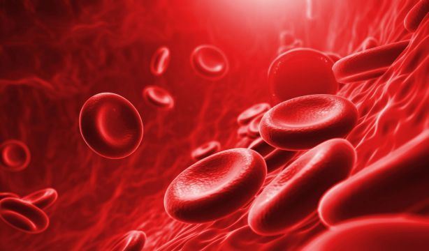 Identifican biomarcadores en la sangre para predecir precozmente el deterioro cognitivo en mayores