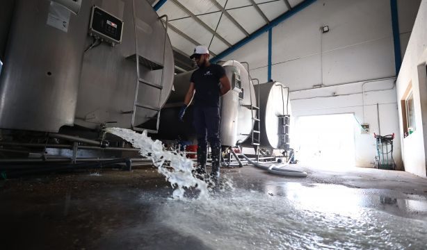 Ganaderos andaluces, en pie de guerra contra Puleva, tiran 400.000 litros de leche al día