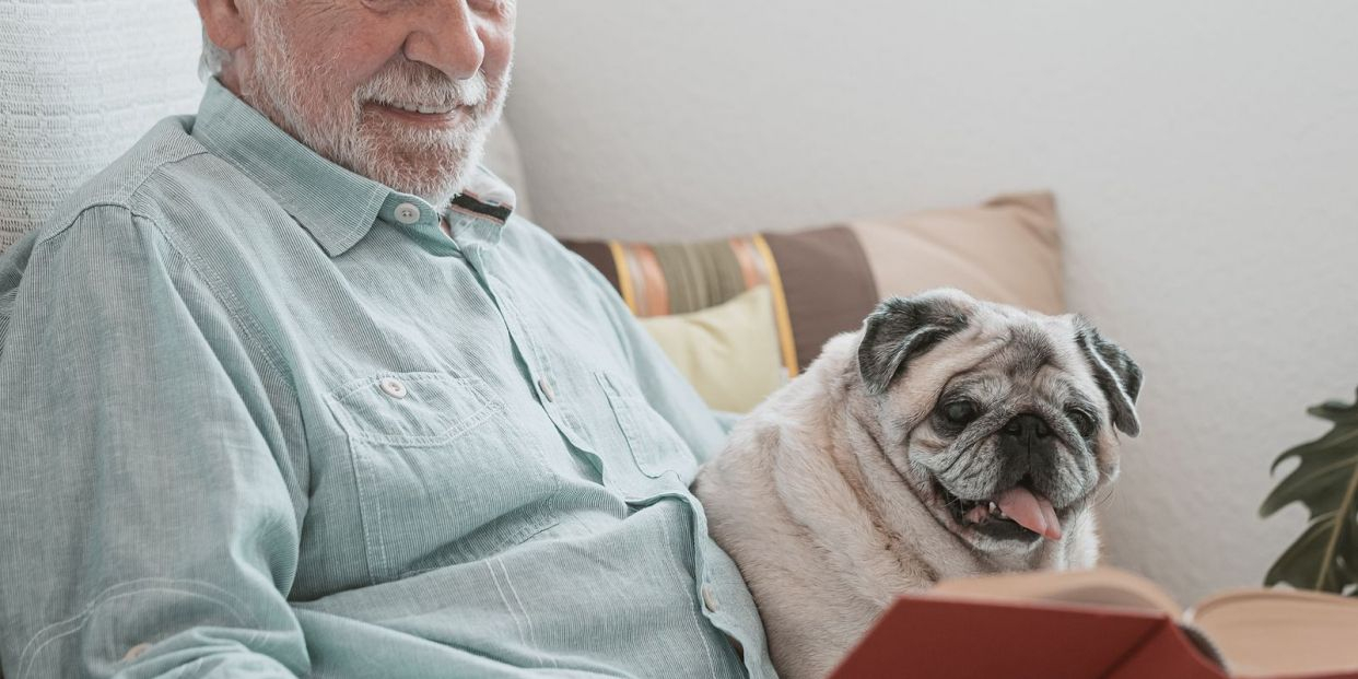 Protege a tu mejor amigo con este seguro para mascotas Protege a tu mejor amigo con este seguro para mascotas