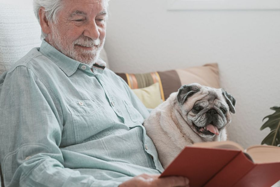 Se abre en Málaga el primer cementerio público de mascotas en España