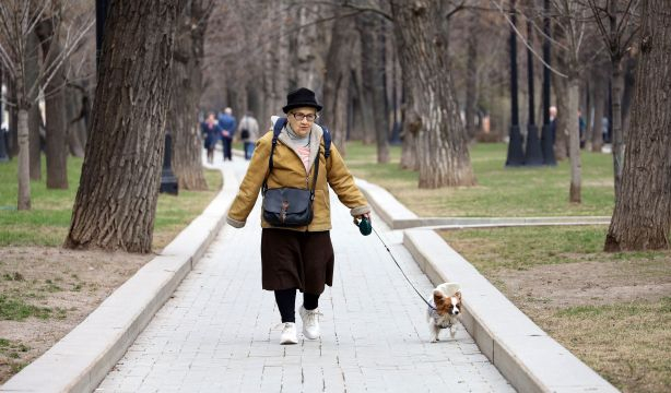 Advierten de la relación entre pasear al perro con correa y sufrir lesiones