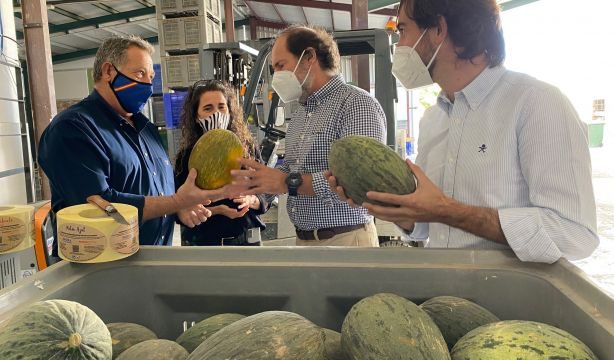 Ruta gastronómica por Villarejo de Salvanés, Valdelaguna, Chinchón, Titulcia y Villaconejos