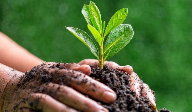 Las marcas españolas con mayor percepción de sostenibilidad por parte de los consumidores en 2023