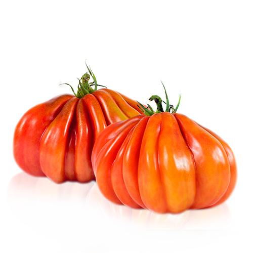 Tomate corazón de buey Tomate corazón de buey