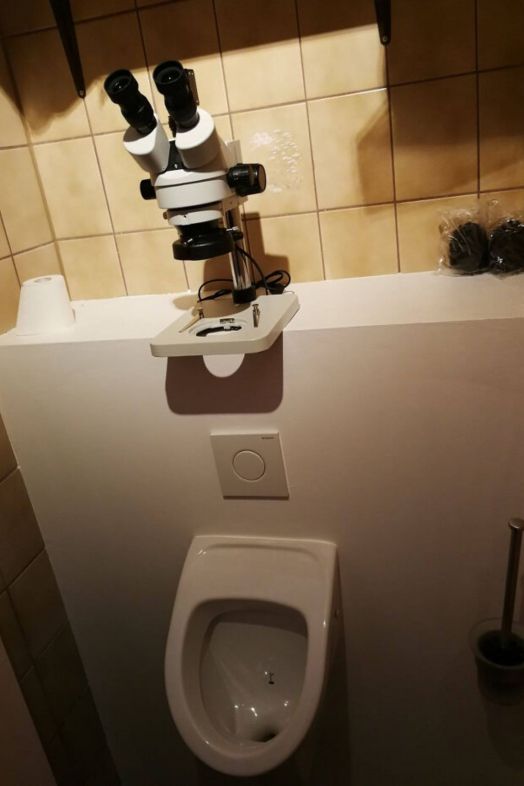 Un wc curioso Un wc curioso