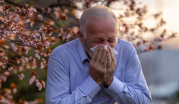¿Por qué están aumentando las alergias esta primavera?