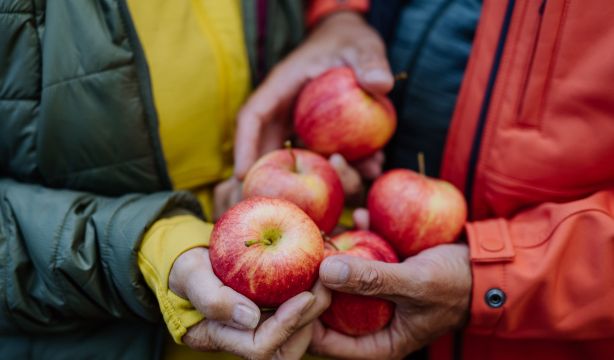 Las manzanas y las moras y su poder contra la fragilidad en los mayores. Foto: Bigstock