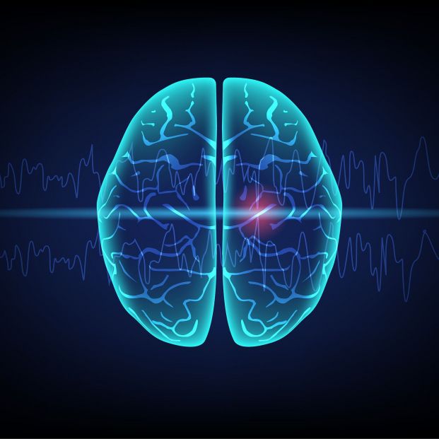 Experto recomienda "estar atento a signos como la confusión" para reconocer la epilepsia en mayores Experto recomienda "estar atento a signos como la confusión" para reconocer la epilepsia en mayores