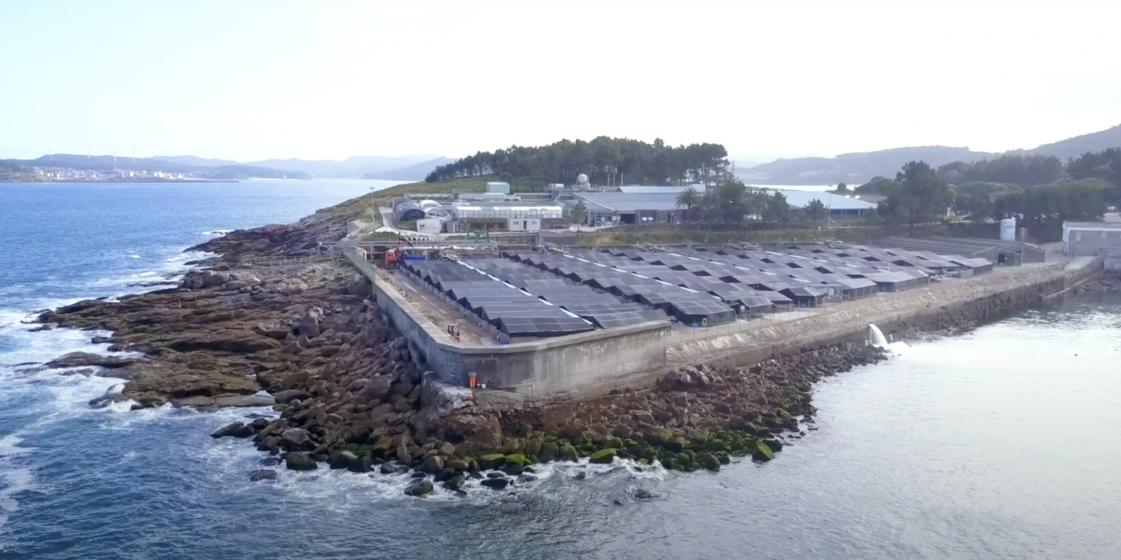 Telefónica Tech digitaliza granjas acuícolas con inteligencia artificial