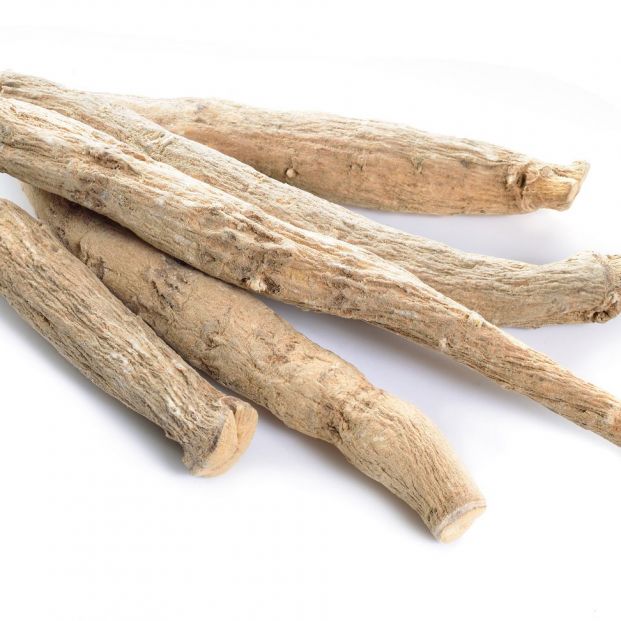 Raíces de gingseng Raíces de gingseng
