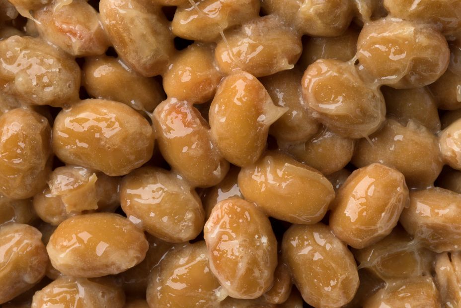 El natto japonés aumenta la esperanza de vida y reduce el estrés en gusanos El natto japonés aumenta la esperanza de vida y reduce el estrés en gusanos