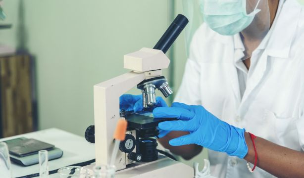 Nuevo avance contra el alzhéimer: identifican marcadores que predicen una futura enfermedad