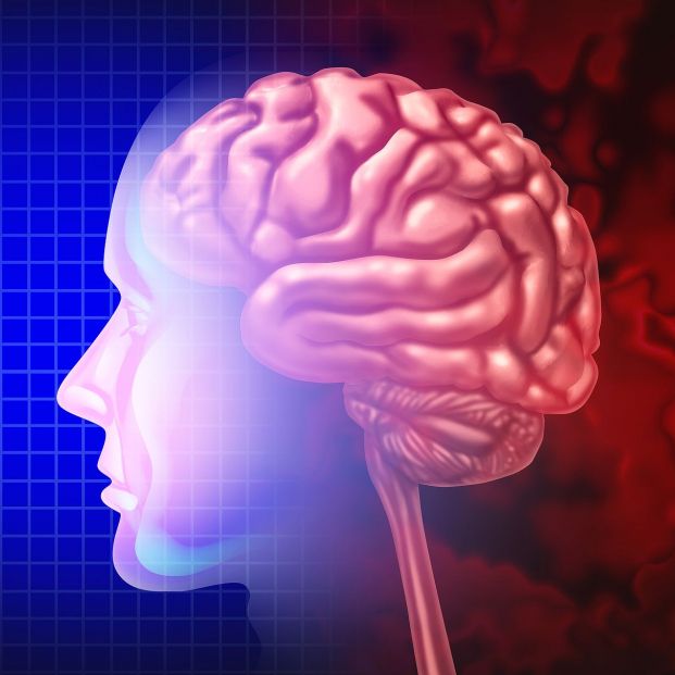 Un estudio utiliza IA para validar un nuevo biomarcador del envejecimiento del cerebro Un estudio utiliza IA para validar un nuevo biomarcador del envejecimiento del cerebro