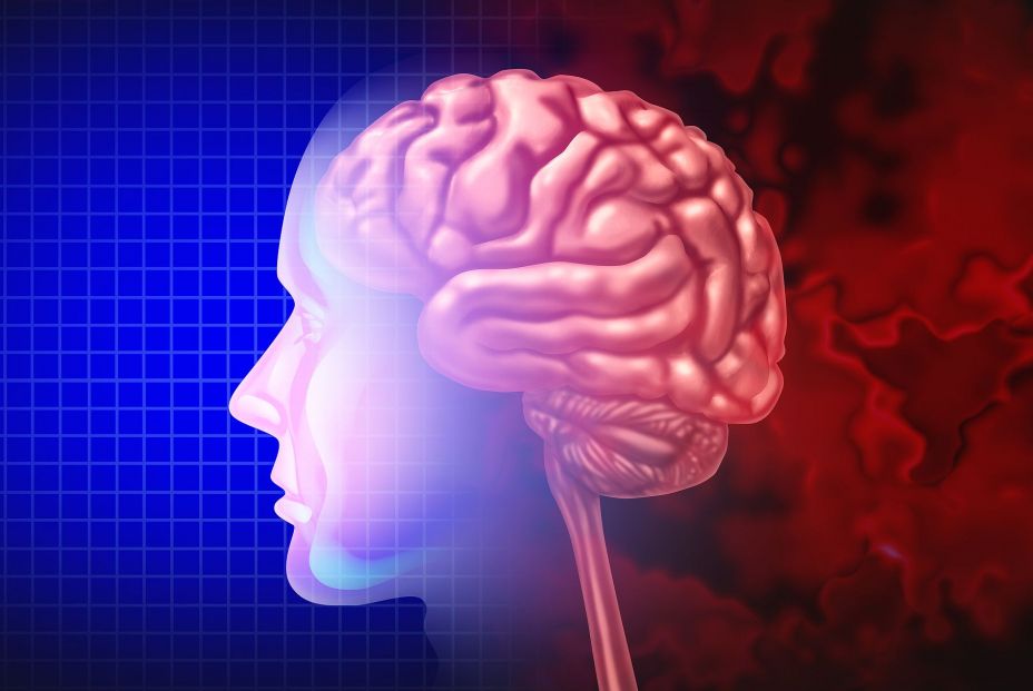 Descubren que las proteínas humanas que causan el alzhéimer provocan más daño que las de ratón Descubren que las proteínas humanas que causan el alzhéimer provocan más daño que las de ratón