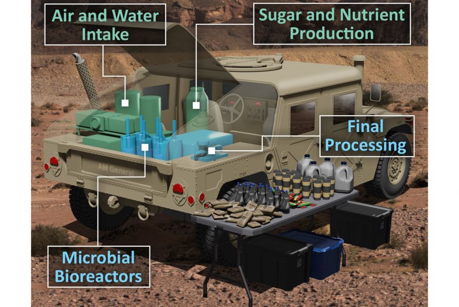 comidaeeuu comidaeeuu