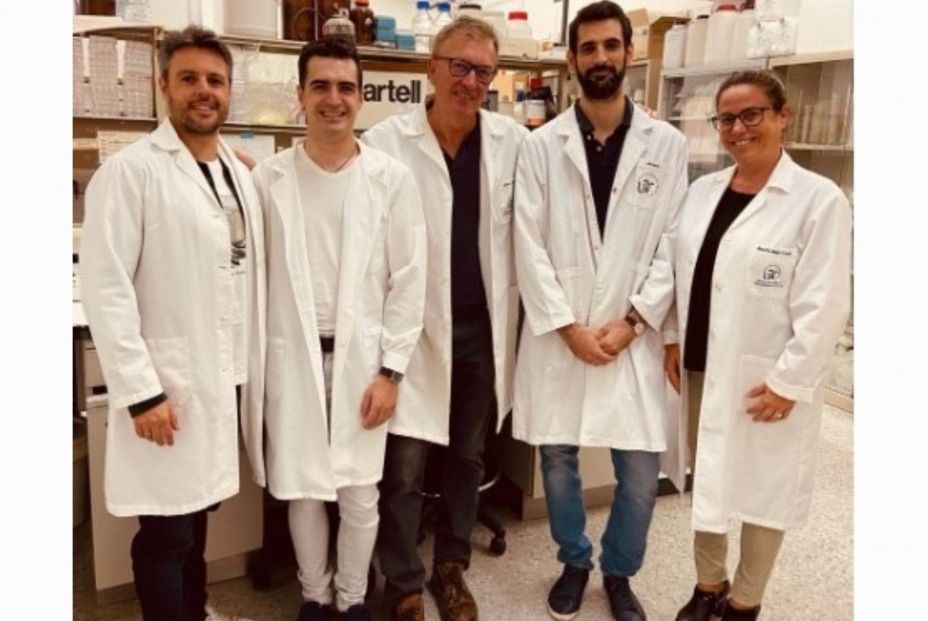 imagen (4) imagen (4)