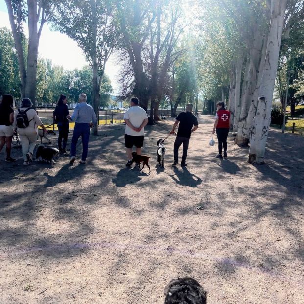 Cruz Roja apuesta por CRECE para evitar y retrasar la institucionalización de las personas