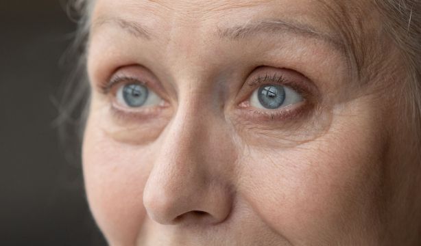 El aspecto de tus cejas está en los genes