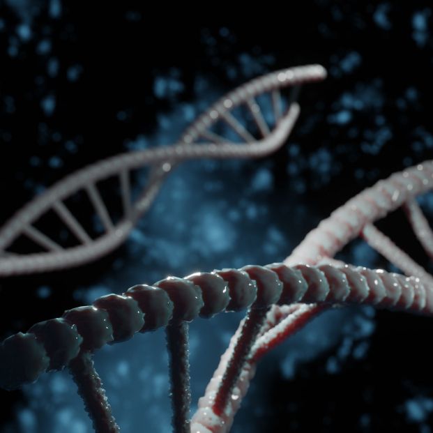 Un estudio español crea un método que predice la eficacia de las terapias contra el cáncer de mama Un estudio español crea un método que predice la eficacia de las terapias contra el cáncer de mama