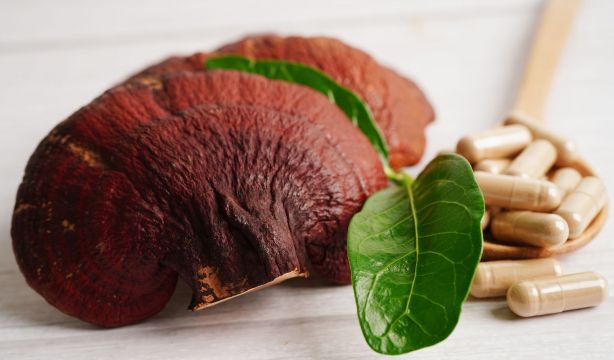 El superalimento chino conocido como el hongo de la inmortalidad