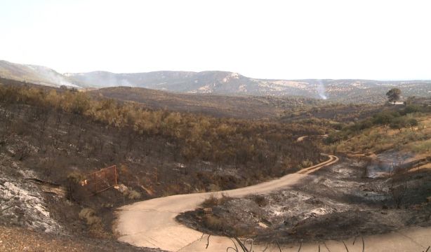 Qué es la solastalgia o el duelo por la pérdida del entorno natural