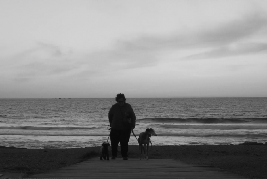 Rosa playa ByN Rosa playa ByN