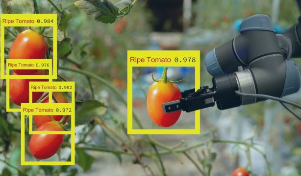 Desarrollan un robot autónomo capaz de recoger frutas y verduras sin dañarlas
