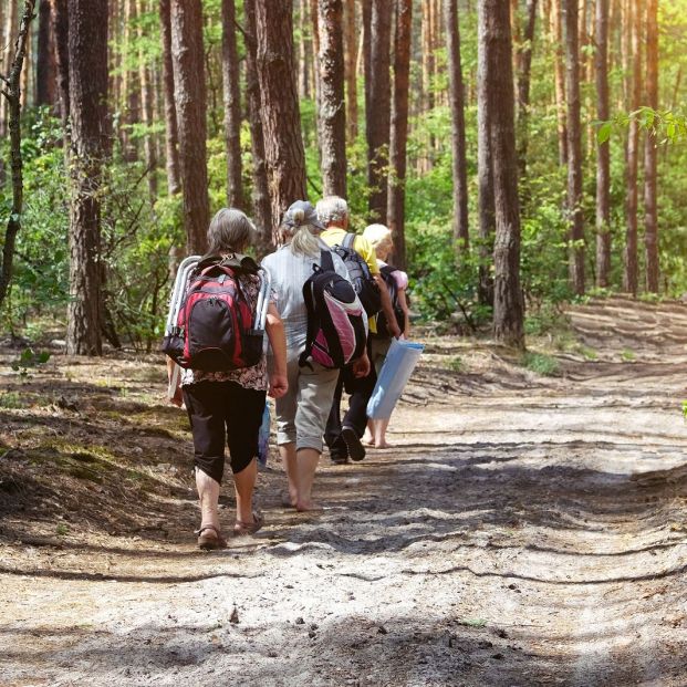 Cómo evitar el sedentarismo Cómo evitar el sedentarismo
