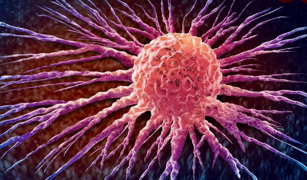 Crean con inteligencia artificial un predictor de riesgo de cáncer que mejora los test comerciales