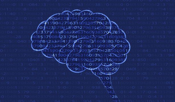 Un estudio explica cómo procesa los números el cerebro