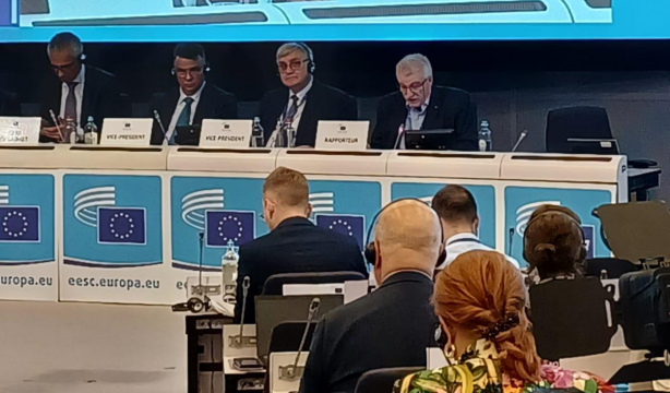 Piden en la Comisión Europea un cambio de paradigma que haga visibles a los mayores