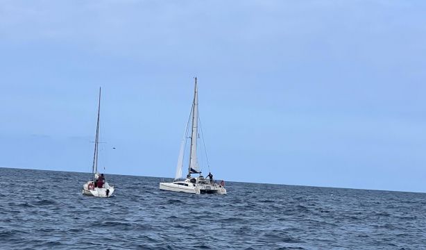 Cuaderno de a bordo días 7, 8 y 9: seguimos rumbo sur con el viento a favor