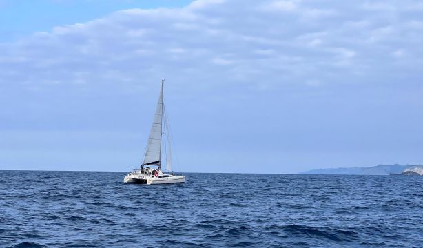 Cuaderno de a bordo día 11: Ericeira -Cascáis
