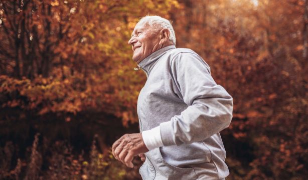 El hallazgo que permitirá "mejorar la calidad" de vida y "extender la longevidad"