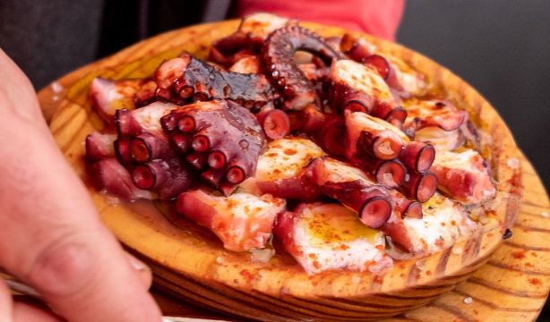 Pulpo, calamar y sepia: qué nos aporta cada uno