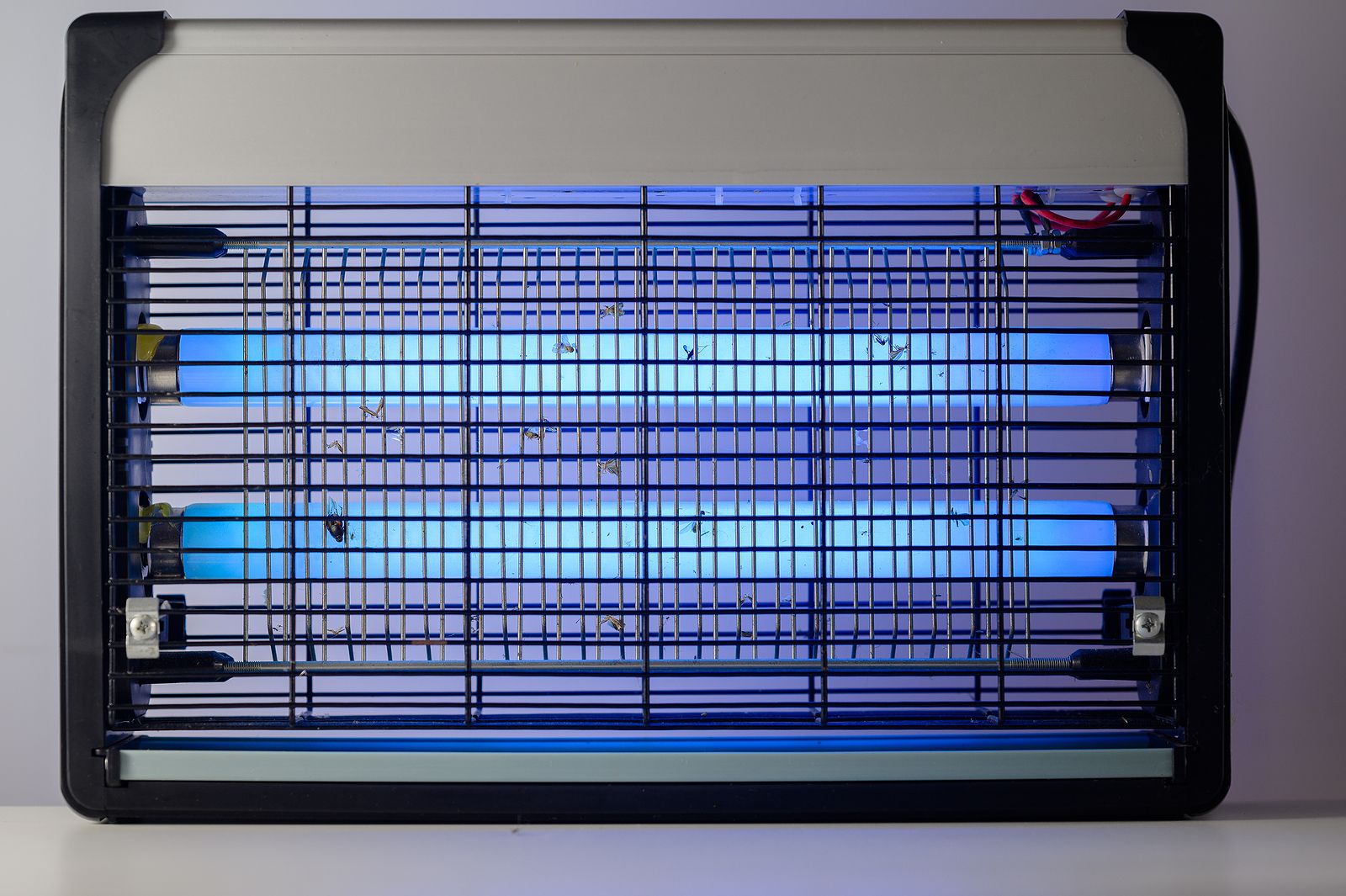 bigstock Mosquito Lamp With Blue Light442878287