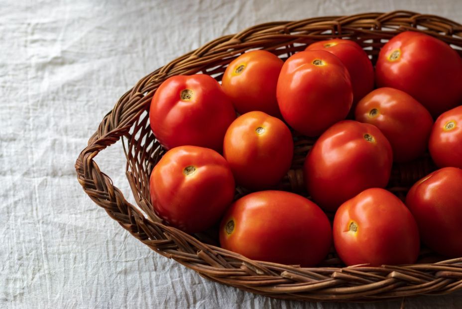 El truco infalible para conservar los tomates en perfecto estado según la ciencia El truco infalible para conservar los tomates en perfecto estado según la ciencia