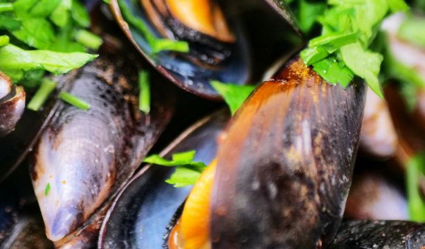 Mejillones: beneficios, calorías y precauciones al comerlos