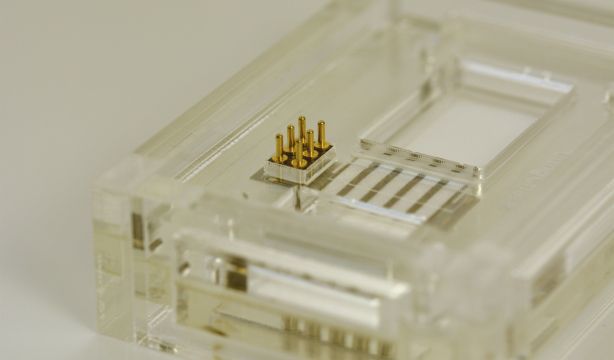 Crean un dispositivo en papel para el diagnóstico rápido de enfermedades pulmonares