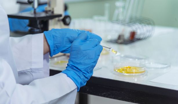 El sulfuro de hidrógeno, la última esperanza contra el envejecimiento