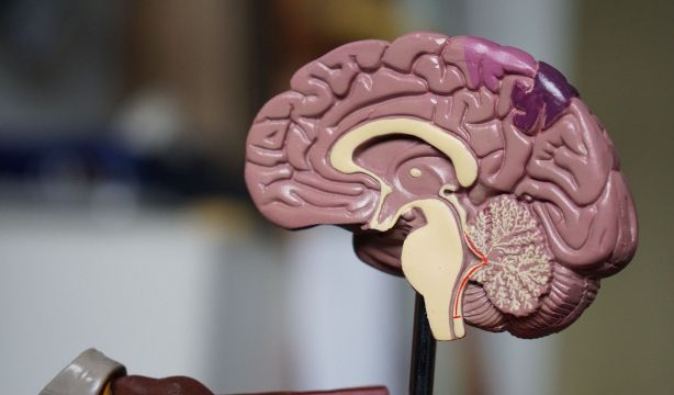 ASTUCE Spain reunirá en Madrid a expertos y pacientes en un 'workshop' sobre cáncer cerebral