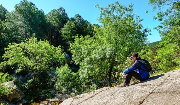 Recorrido por la Sierra Oeste madrileña entre quesos de cabra, mieles, vino y la huerta más grande. Foto: Bigstock