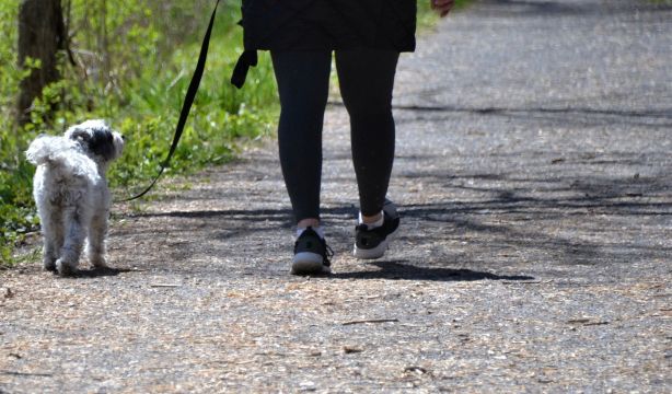 La forma de andar podría ser un método de detección temprana del alzhéimer