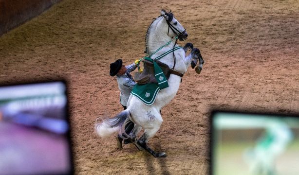Sanlúcar abre este domingo su Puerta Grande a la Fundación Real Escuela Andaluza del Arte Ecuestre