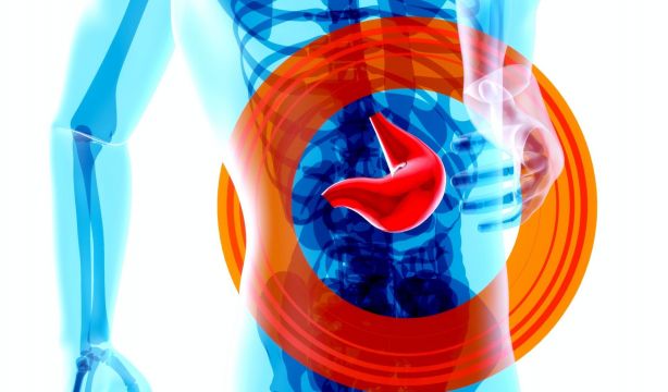 Desarrollan una herramienta para determinar el riesgo de tener enfermedades hepáticas