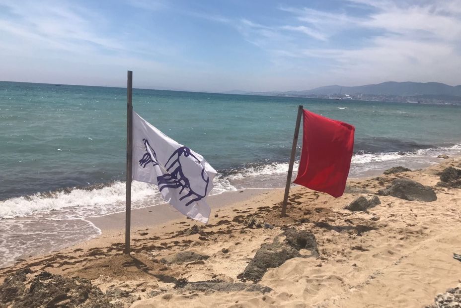 EuropaPress 1623584 cerradas precaucion playas molinar can pastilla presencia ejemplares EuropaPress 1623584 cerradas precaucion playas molinar can pastilla presencia ejemplares