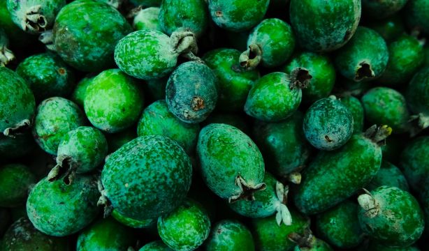 El poder de la feijoa contra la diabetes tipo 2
