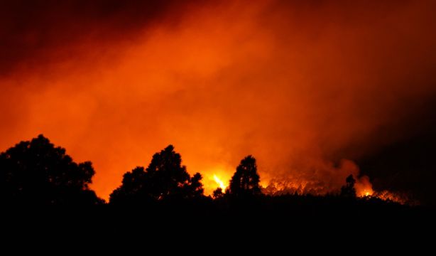 El incendio de Tenerife avanza sin control y ya ha arrasado 1.800 hectáreas