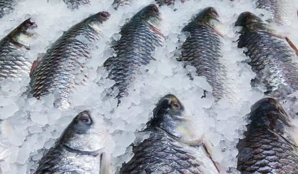 Los tres pescados de Mercadona que recomiendan los nutricionistas 